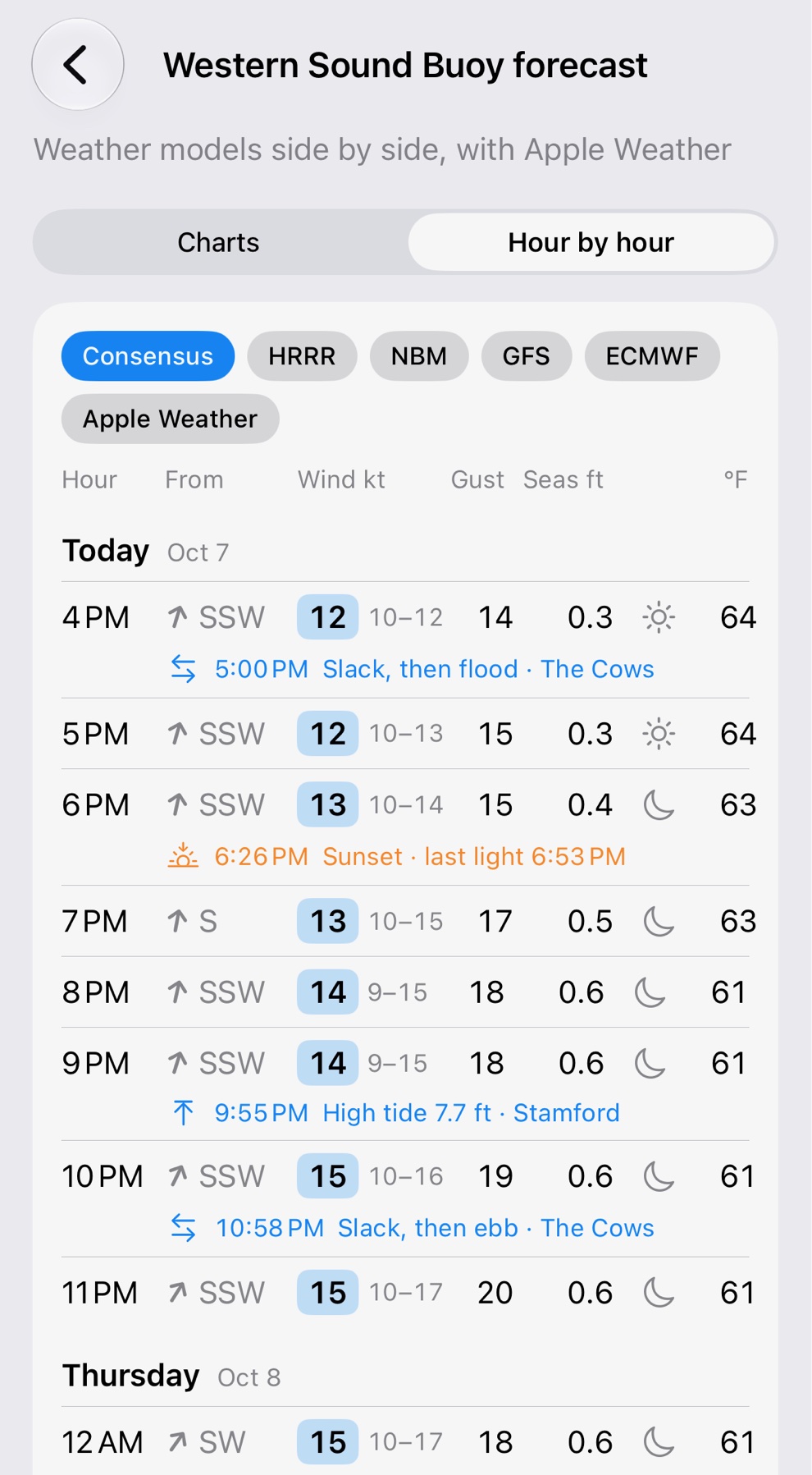 The forecast hour by hour: a row for each hour with the wind's direction, speed, gust, seas, sky and temperature, and slack water, sunset and high tide set under the hours they fall in.